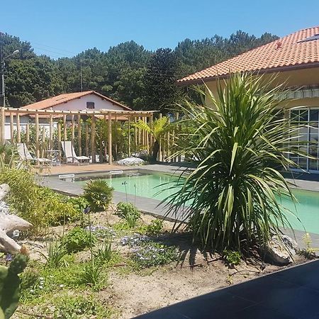 Chambre D'Hotes Avec Terrasse, Meuble Tourisme 1 Etoile Labenne Exteriör bild